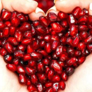 Χριστός χάριτος Κερασιδης